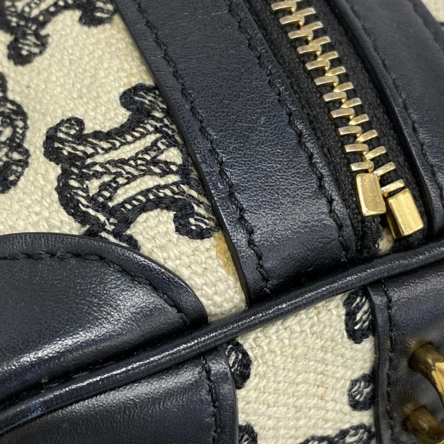 Celine Triomphe Canvas Handbag