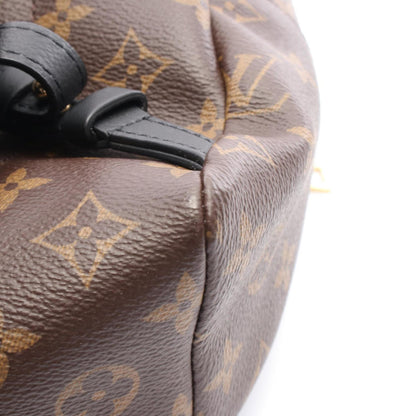 Louis Vuitton Palm Springs Backpack Pm Monogram Coated Canvas Leather