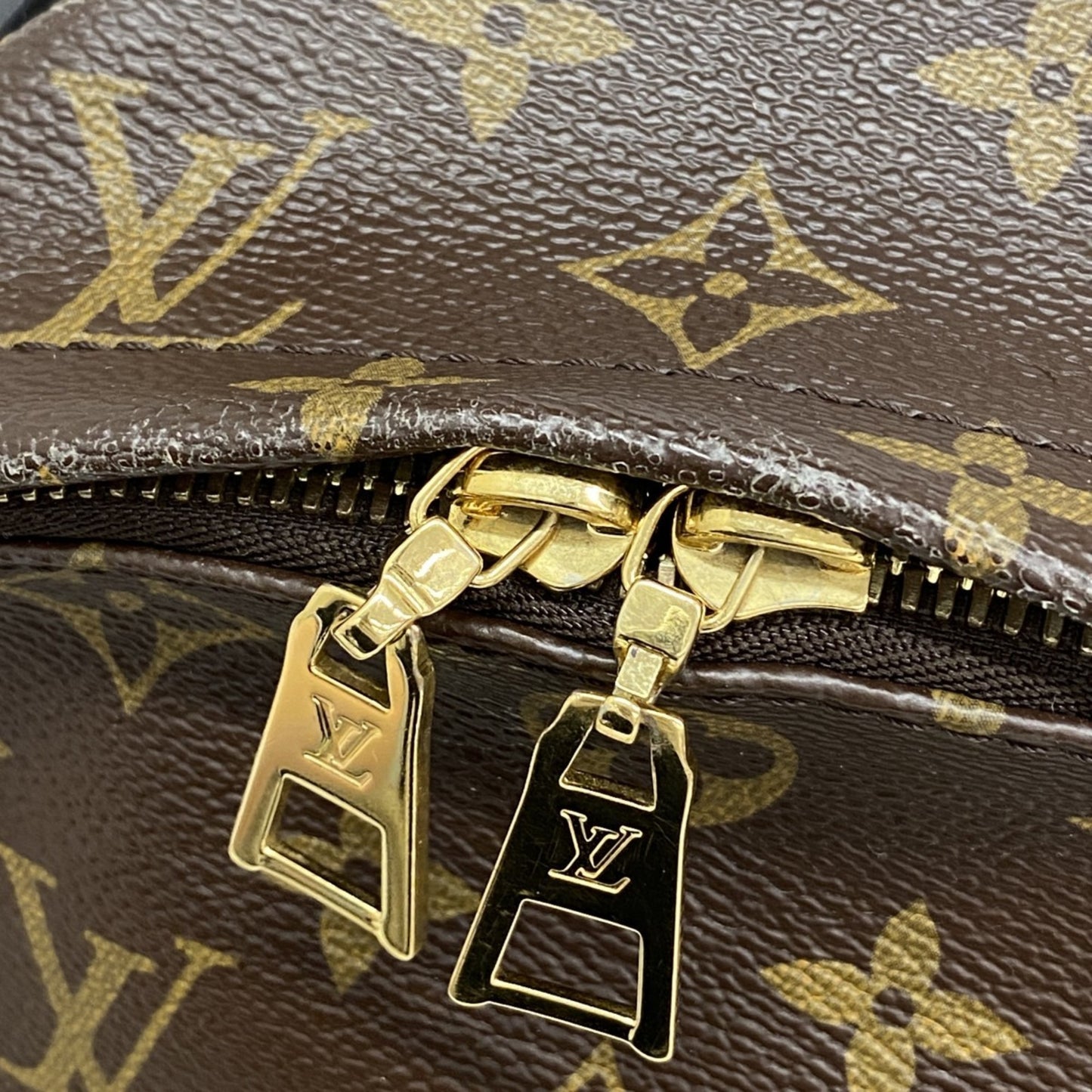 Louis Vuitton Monogram Palm Springs Mm Backpack M41561 Brown