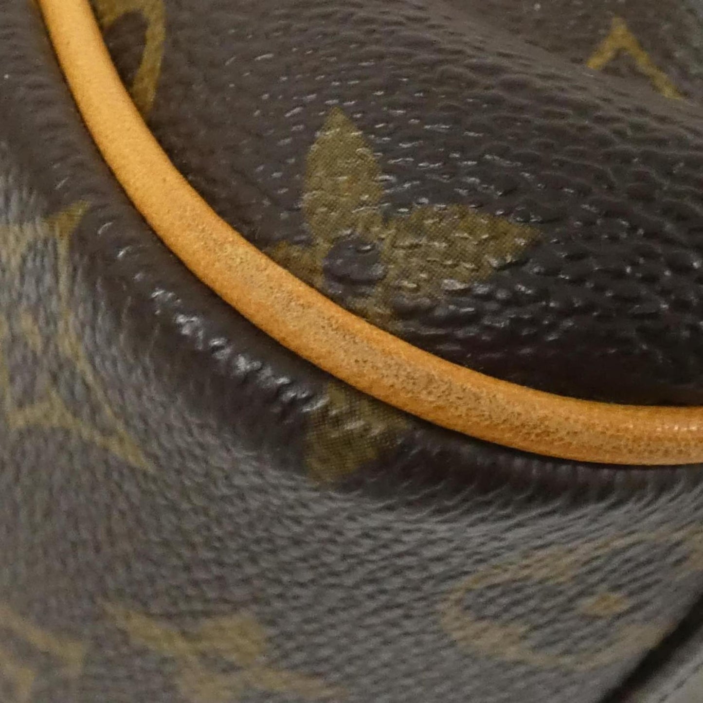 Louis Vuitton Monogram Clara M40057 Shoulder Bag