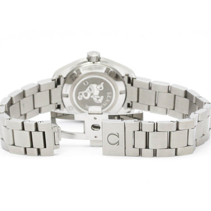 Omega Seamaster Aqua Terra