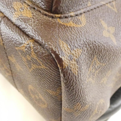 Louis Vuitton Monogram Palm Springs Backpack Pm M41560