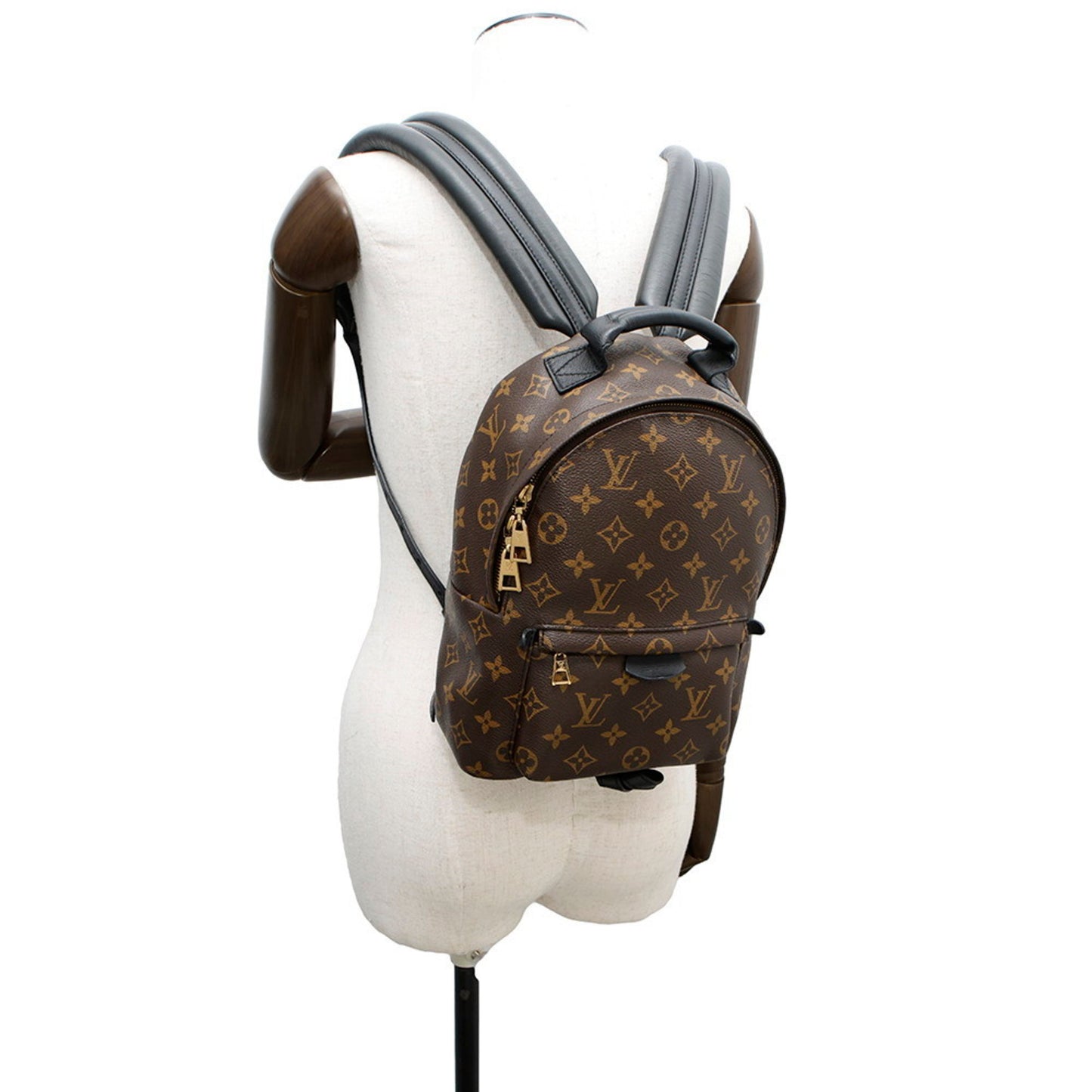 Louis Vuitton Monogram Palm Springs Backpack Pm M41560 Louis Vuitton