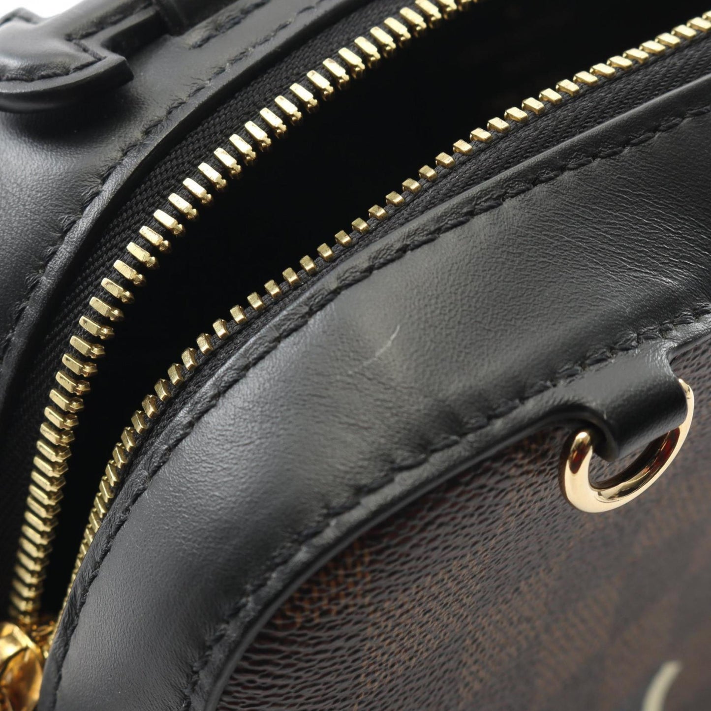 Louis Vuitton Santa Monica Shoulder Bag