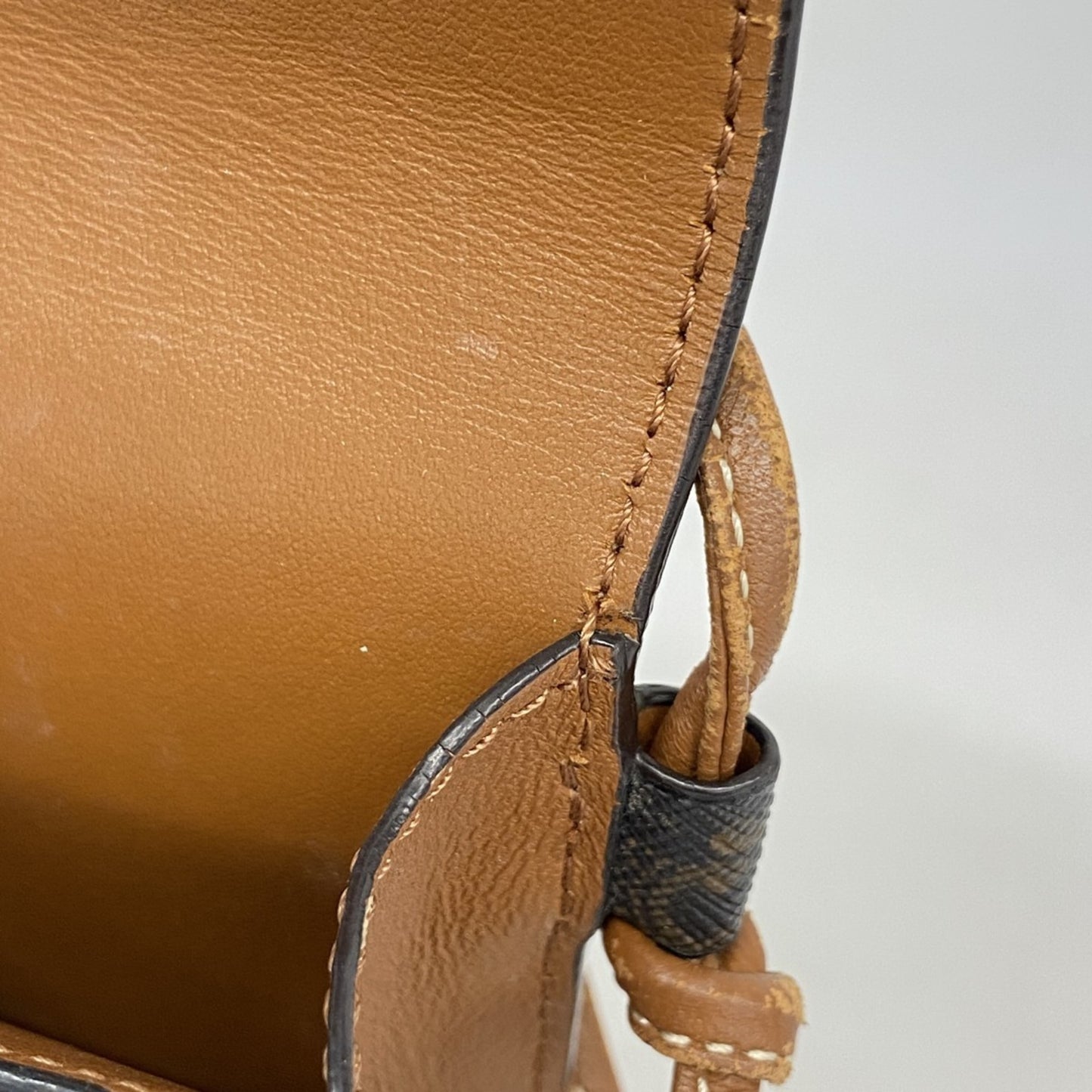 Celine Triomphe Mobile Pouch In Black