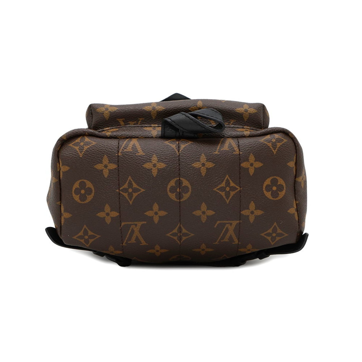 Louis Vuitton Monogram Palm Springs Backpack Pm M41560 Louis Vuitton