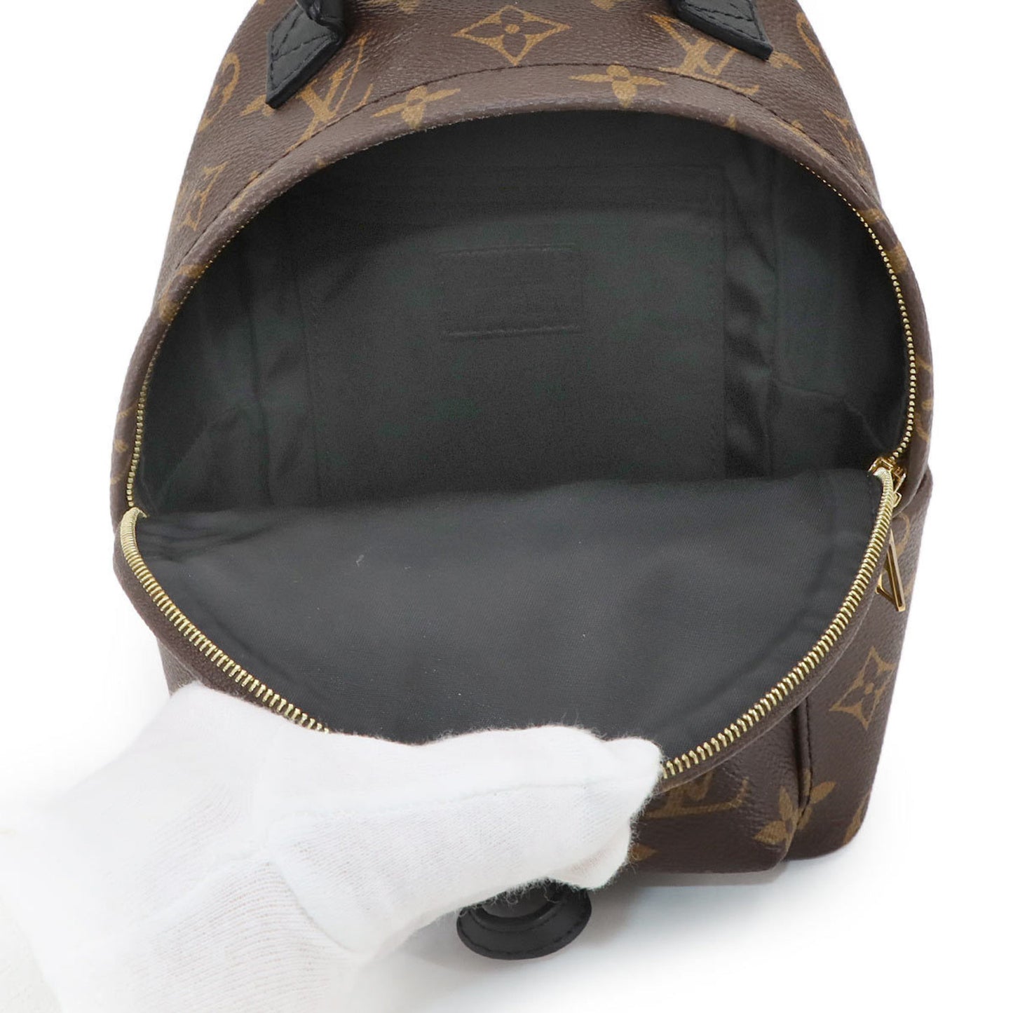 Louis Vuitton Monogram Palm Springs Backpack Mini