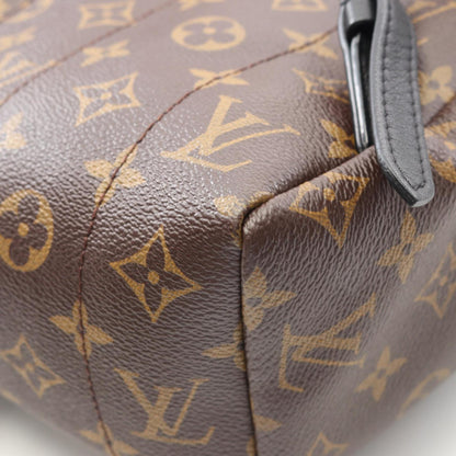 Louis Vuitton Palm Springs Backpack Mm