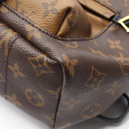 Louis Vuitton Palm Springs Backpack Pm