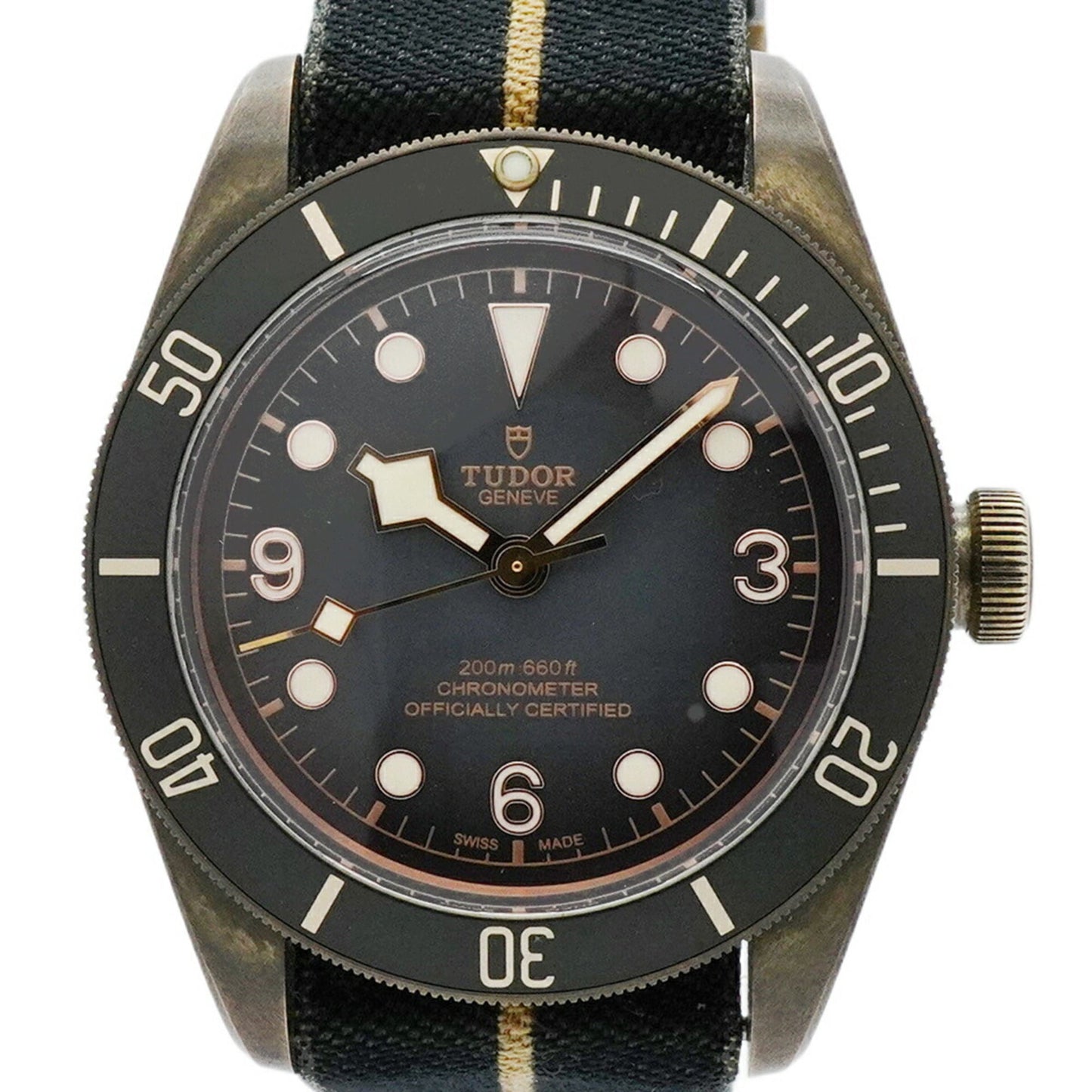 Tudor Black Bay 79250Ba Dial