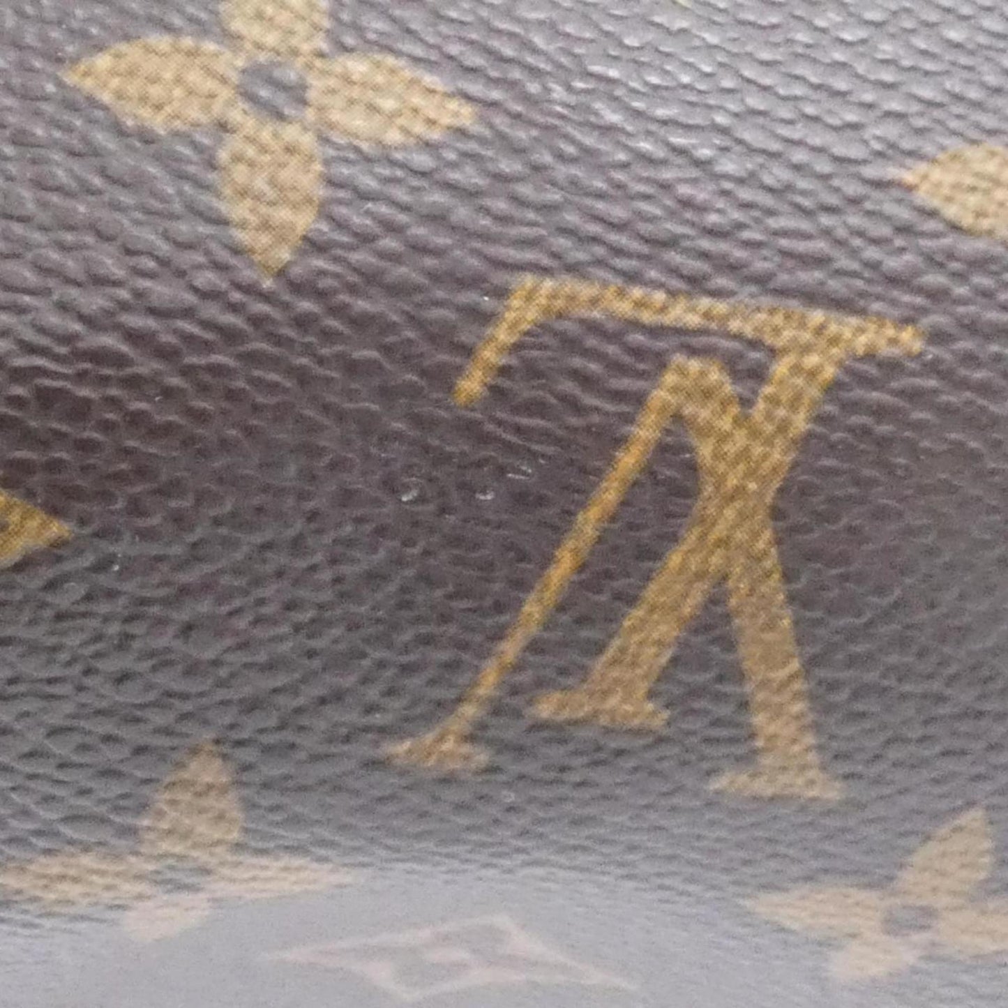 Louis Vuitton Monogram Viva Cite Gm M51163 Shoulder Bag