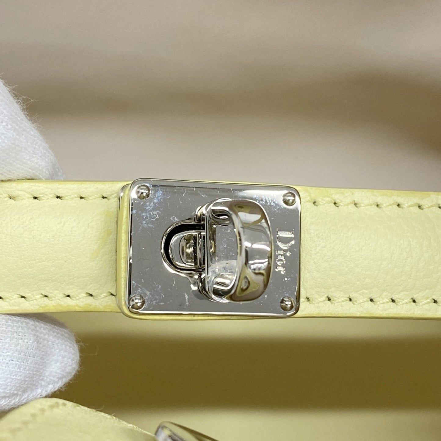 Christian Dior Blossom Leather Handbag