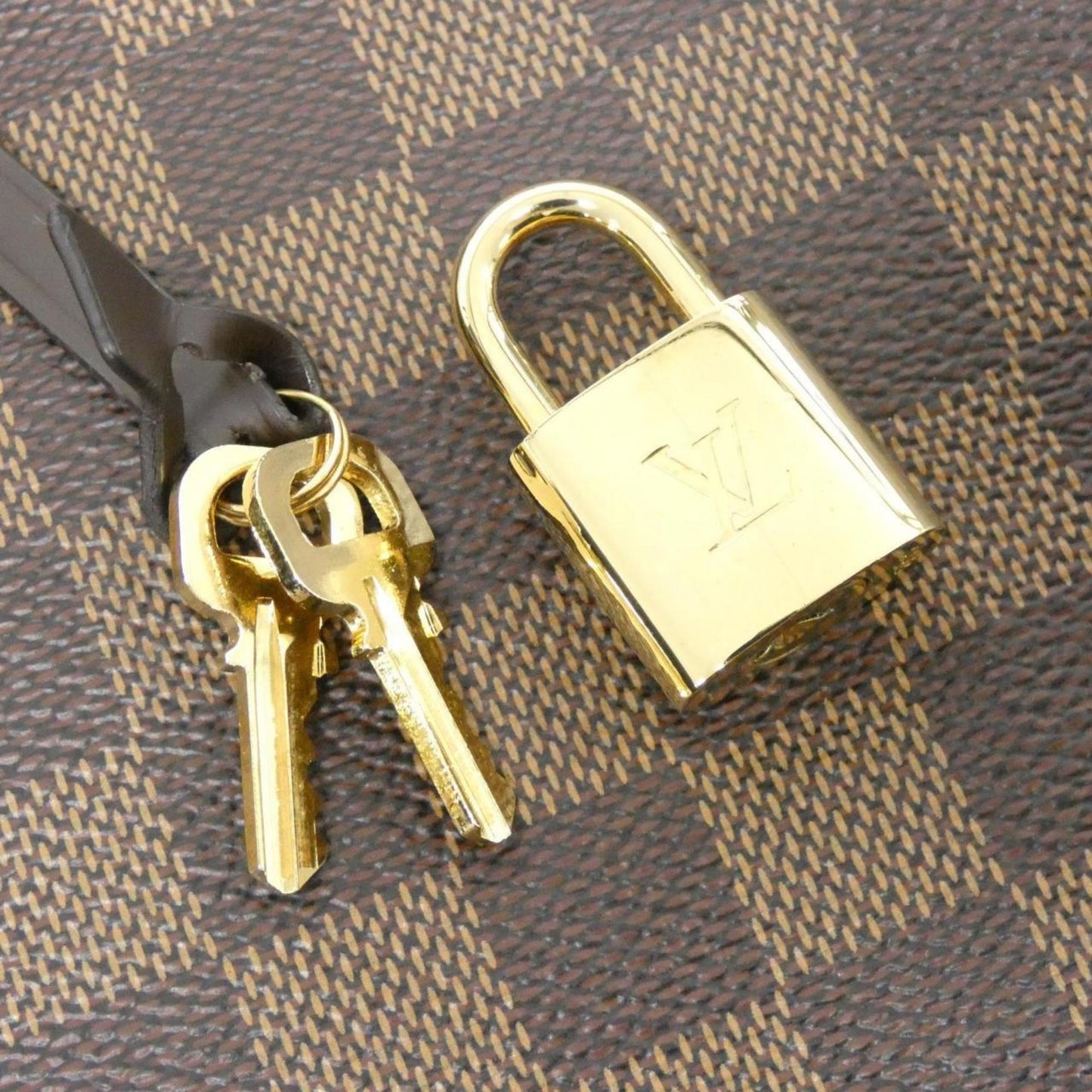 Canvas Louis Vuitton Handbag Coated