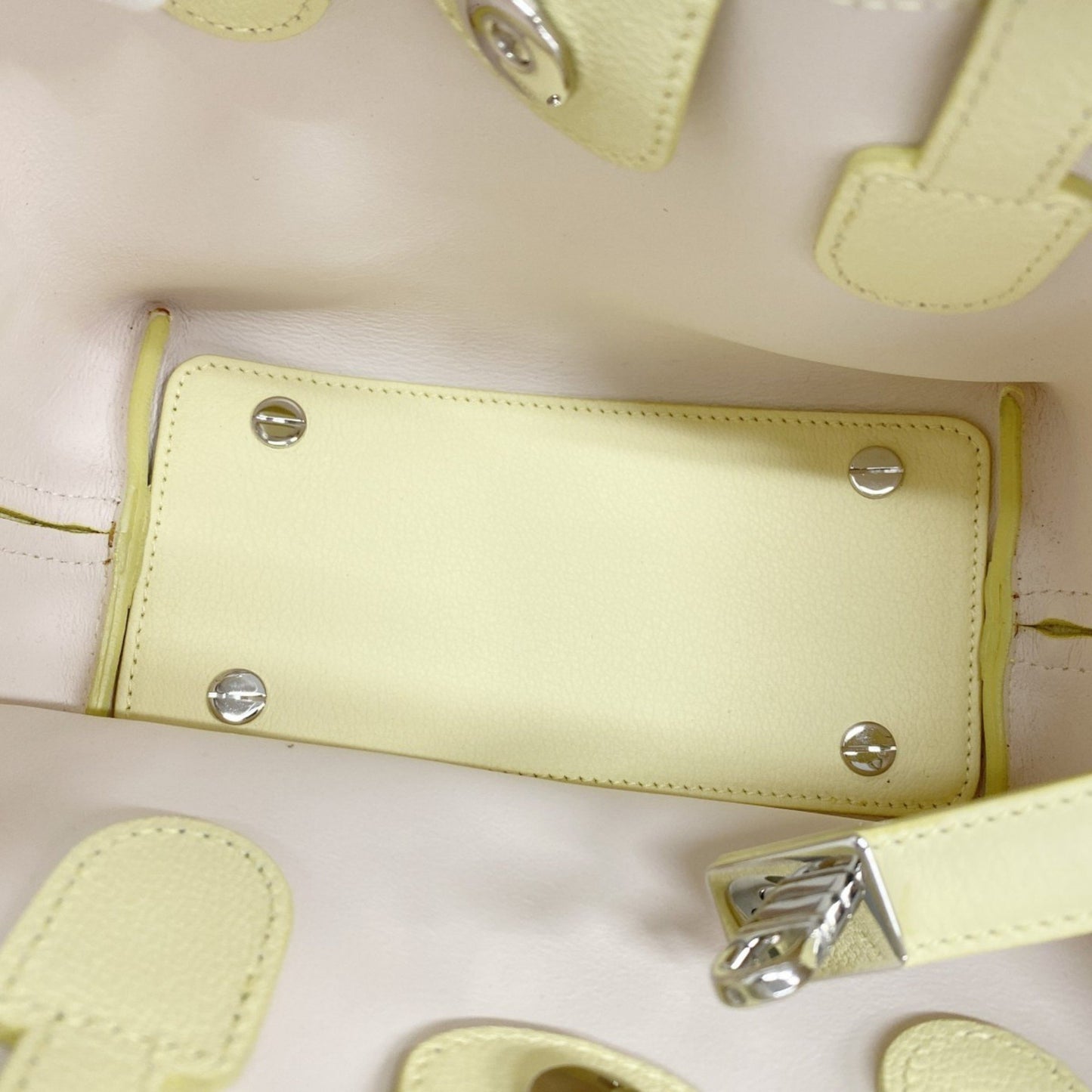 Christian Dior Blossom Leather Handbag