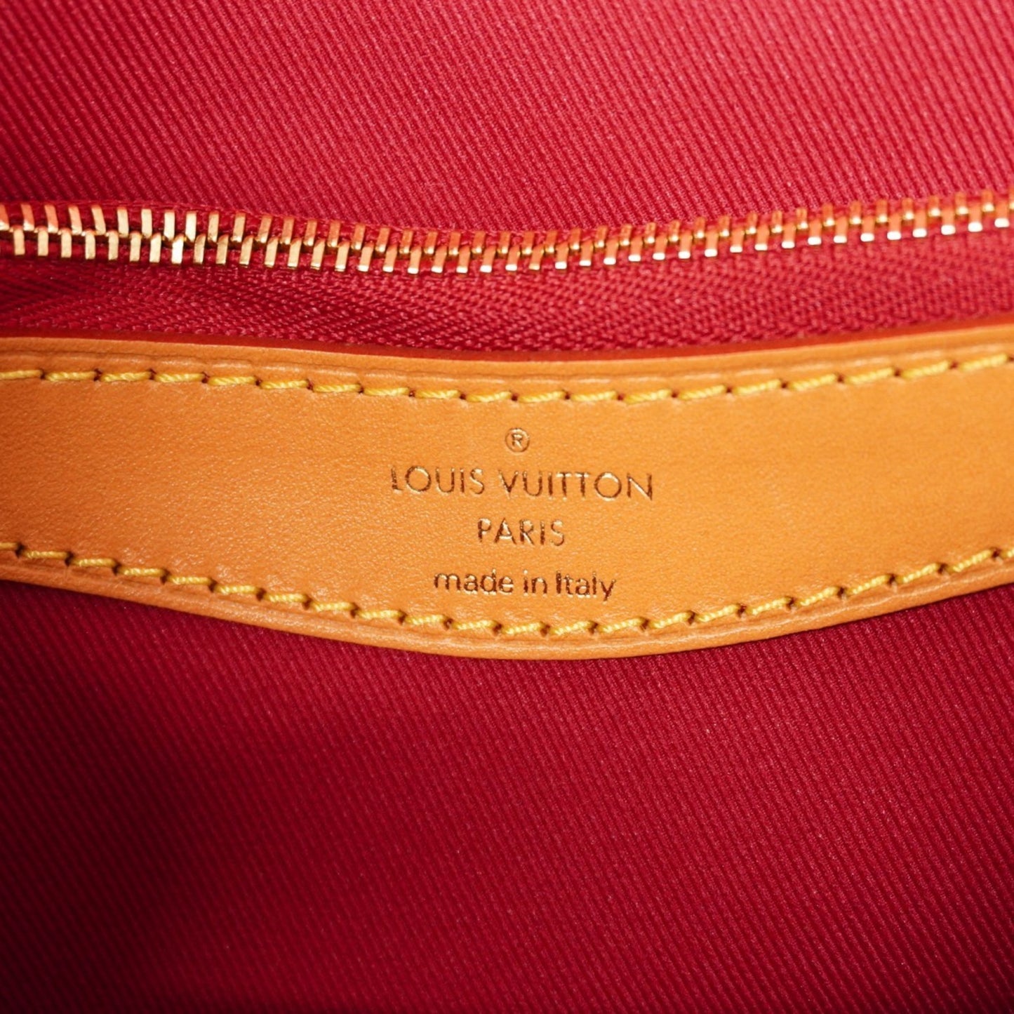 Louis Vuitton Monogram Diane Nmpm M46049 Handbag