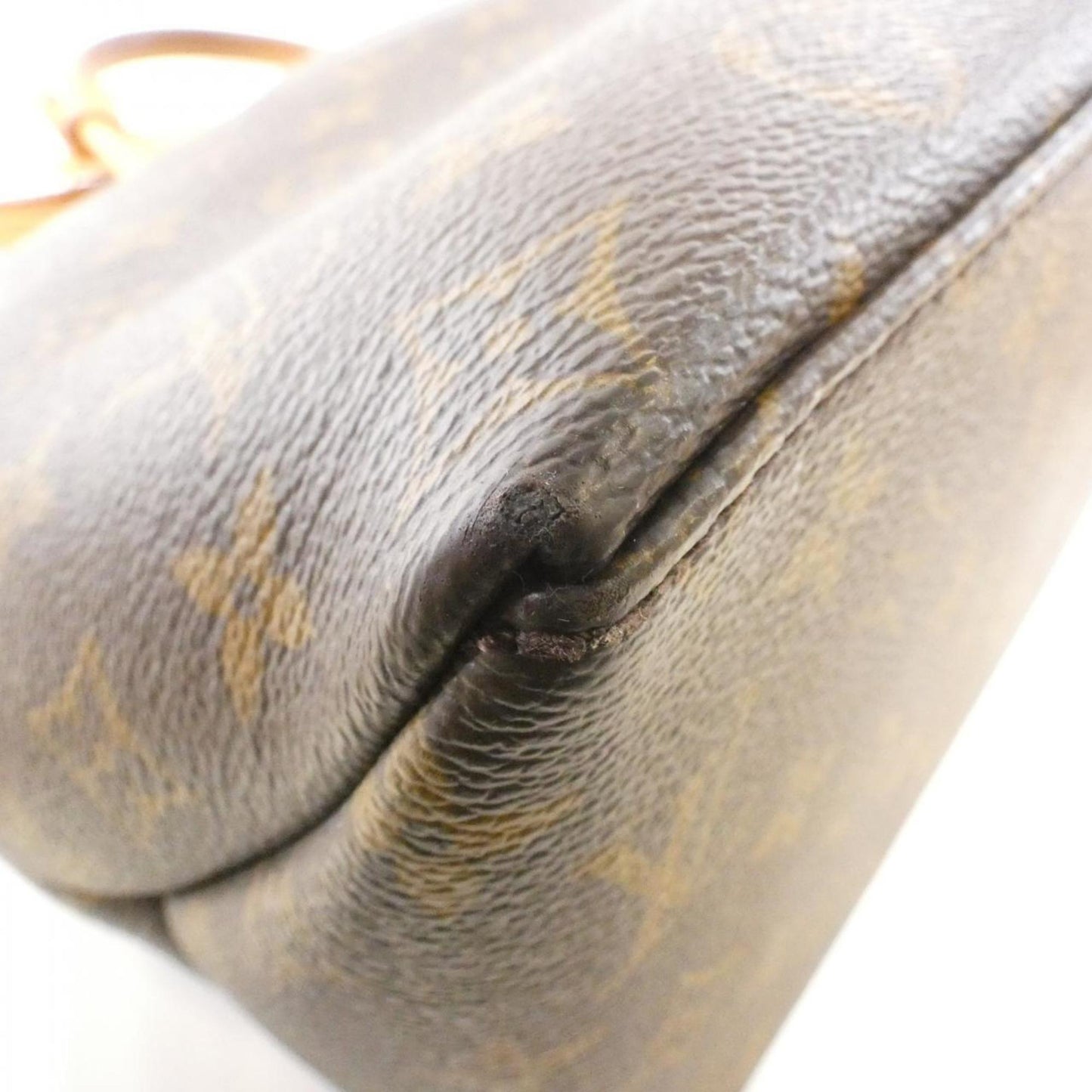 Louis Vuitton Monogram Grand Palais Mm M45898 Handbag