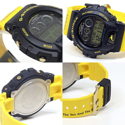 Casio Casio