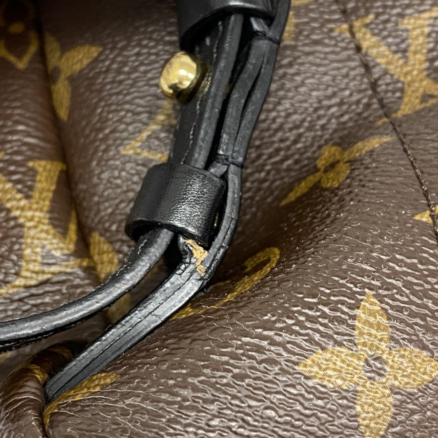 Louis Vuitton Monogram Reverse Palm Springs Pm Backpack M44870 Brown