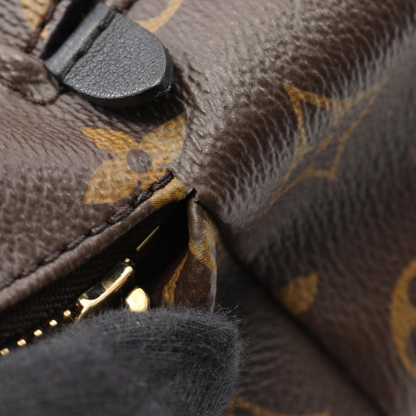 Louis Vuitton Palm Springs Pm Backpack