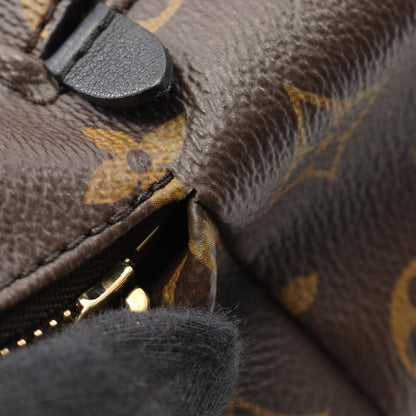 Louis Vuitton Palm Springs Pm Backpack