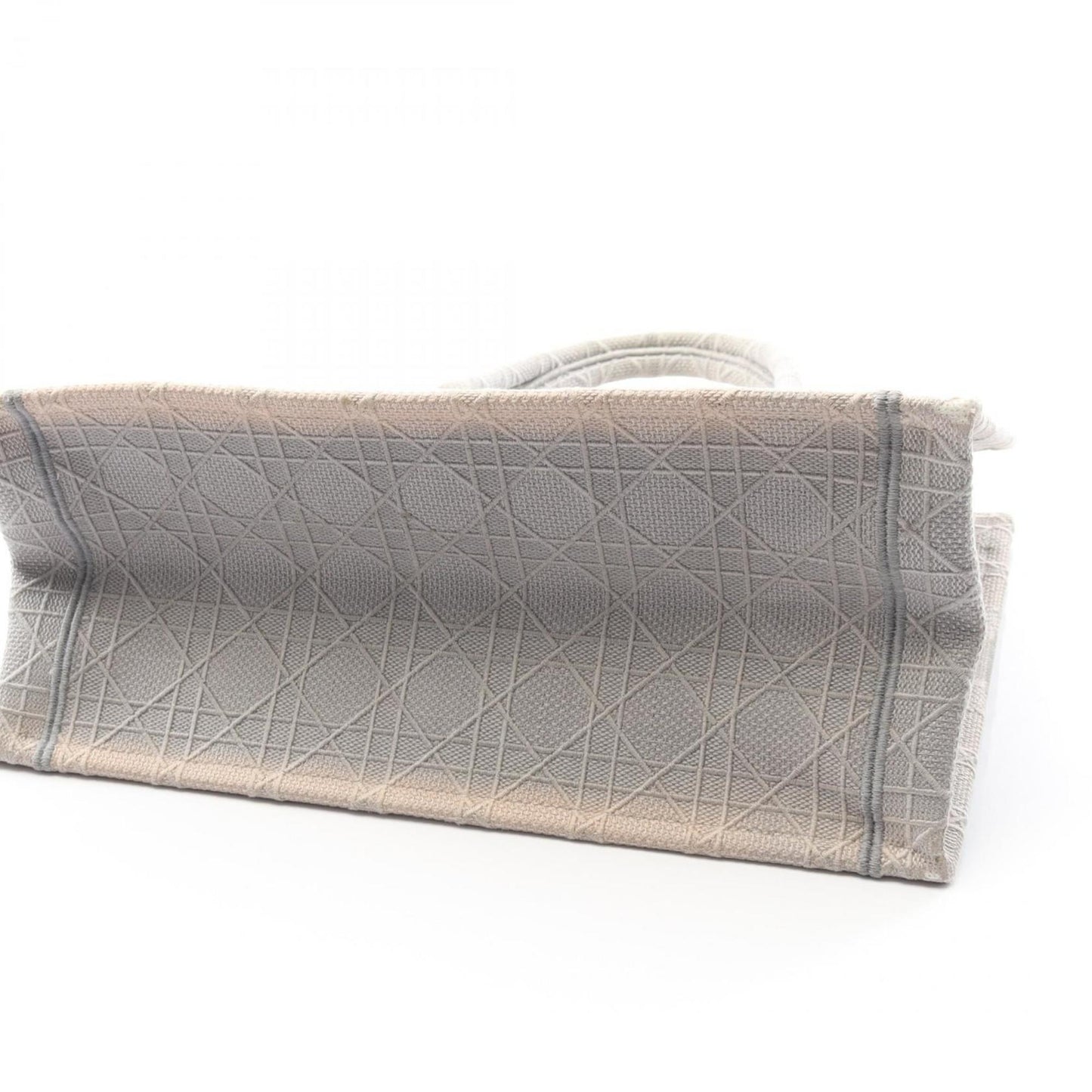 Christian Dior Dior Book Tote Medium Tote Bag