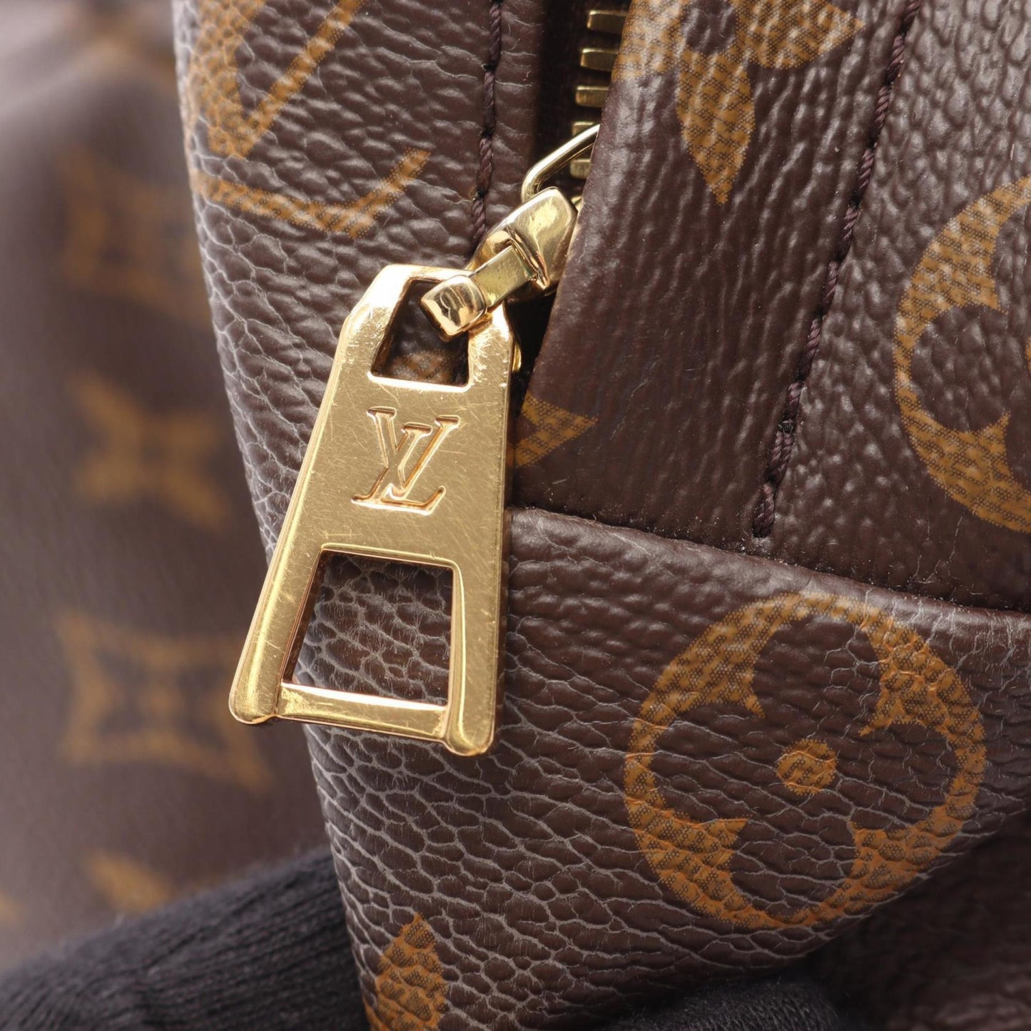 Louis Vuitton Palm Springs Backpack Mm