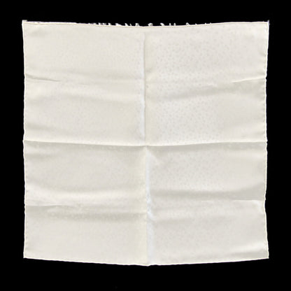 Hermes Scarf/Muffler