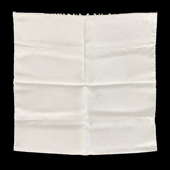 Hermes Scarf/Muffler