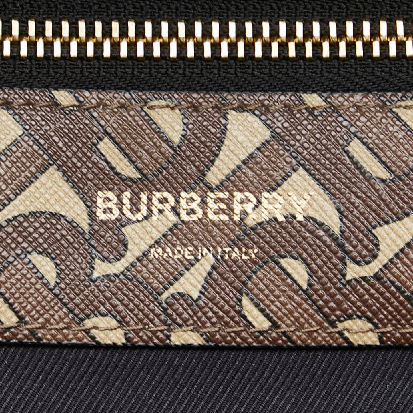 Burberry Tb Monogram Backpack Brown Leather