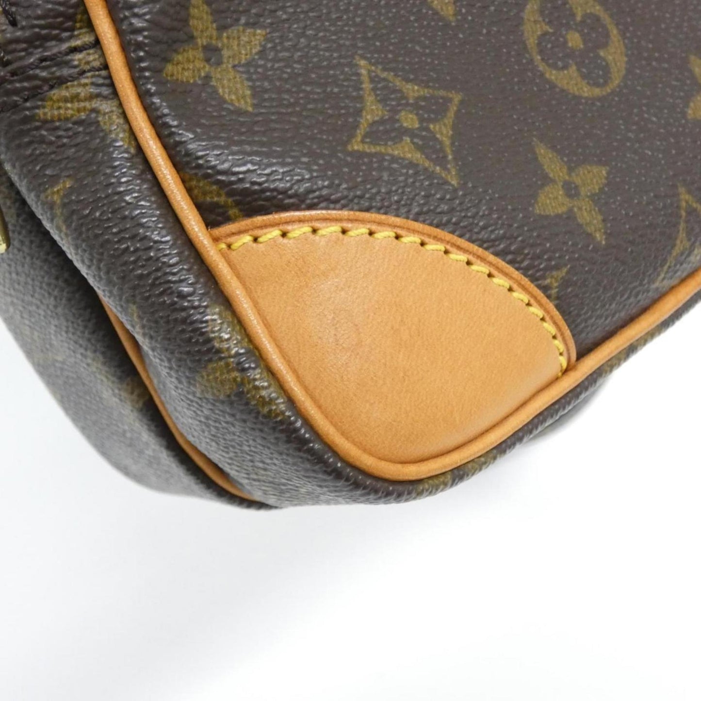 Louis Vuitton Monogram Amazon M45236 Shoulder Bag