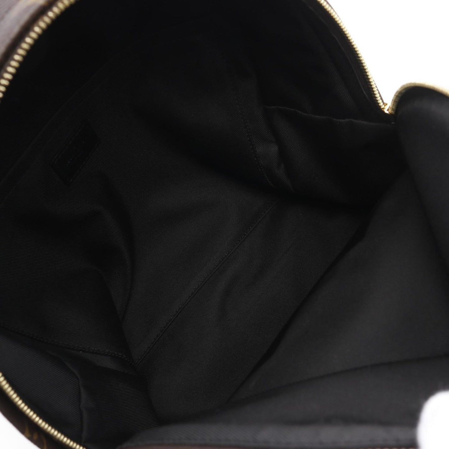 Louis Vuitton Palm Springs Backpack Mm Rucksack Bag Coated Canvas Leather Monogram