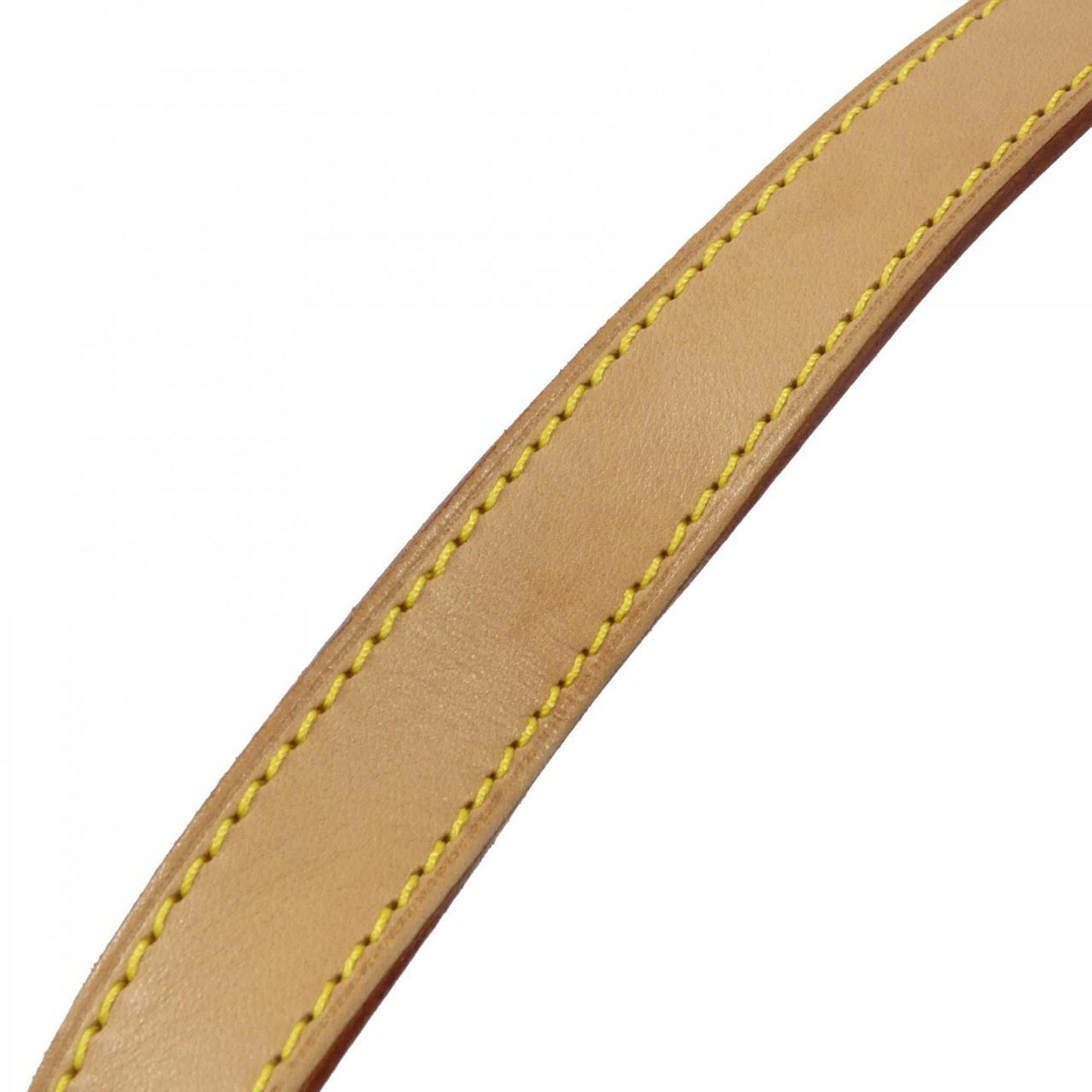 Canvas Louis Vuitton Handbag Coated