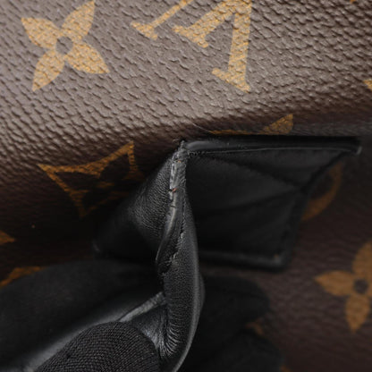Louis Vuitton Palm Springs Backpack Mm