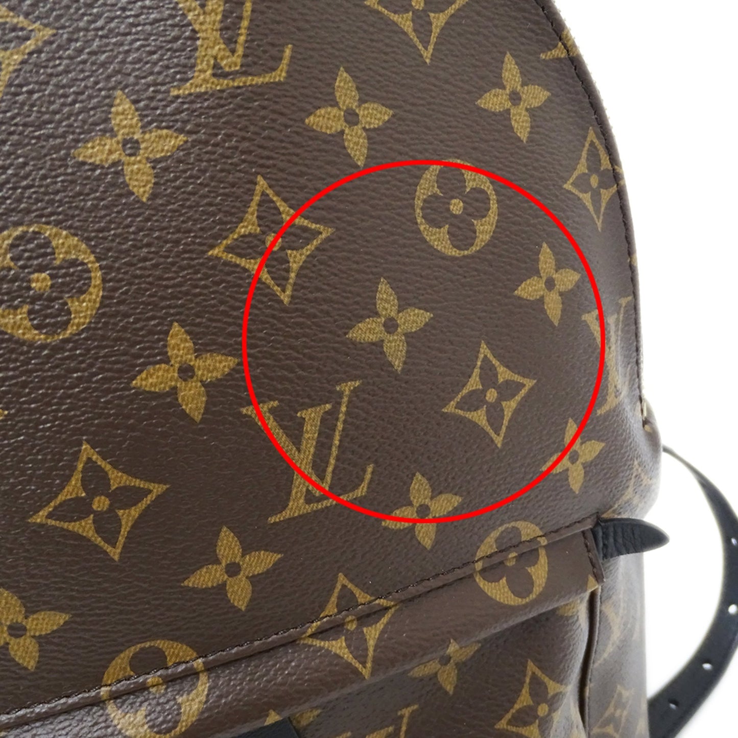 Louis Vuitton Monogram Palm Springs Backpack Mm M41561 Brown