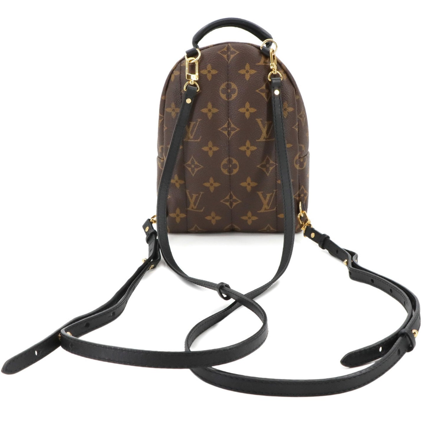 Louis Vuitton Monogram Palm Springs Backpack Mini