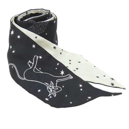 Christian Dior Mitzah Constellation Print Silk Scarf/Muffler