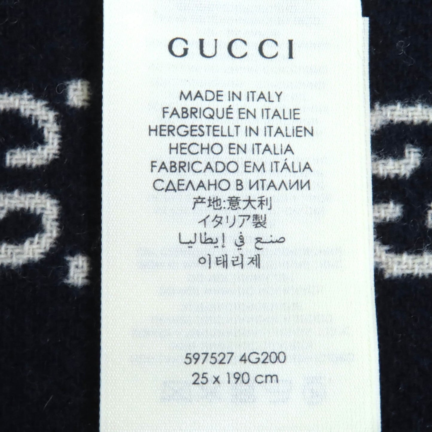Gucci 597527 100% Wool Check And Gg Pattern Reversible Scarf With Fringe