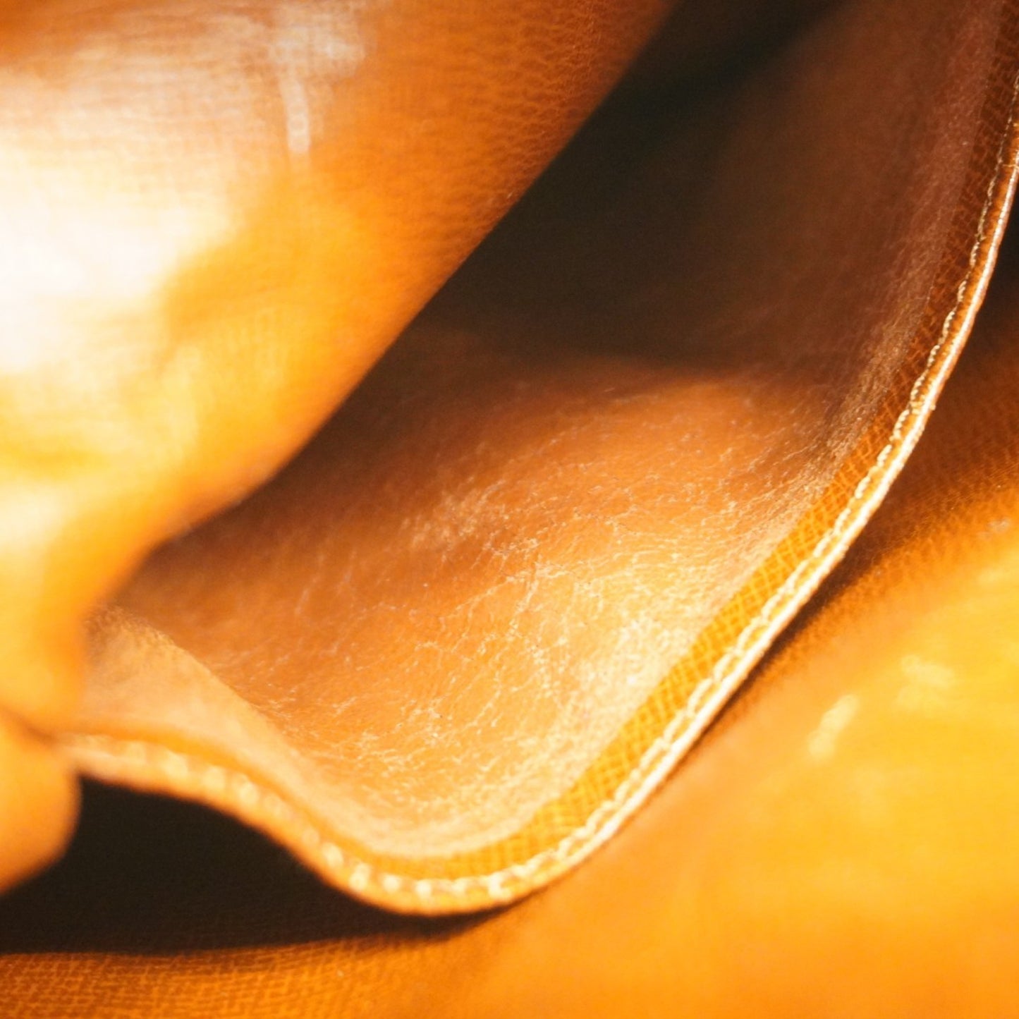 Louis Vuitton Monogram Amazon Shoulder Bag M45236 Brown