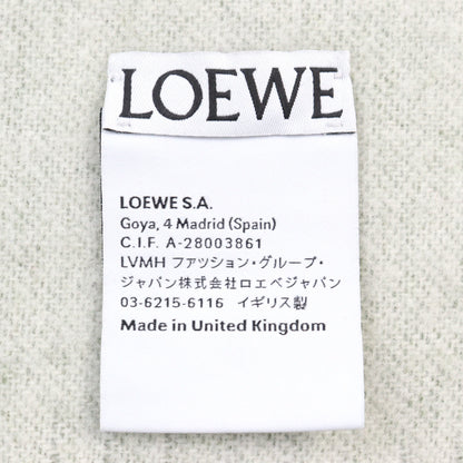 Loewe Reversible Wool