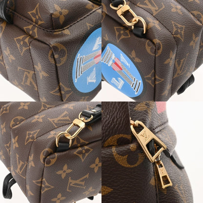 Louis Vuitton Louis Vuitton Monogram Palm Springs Backpack World Tour M42971