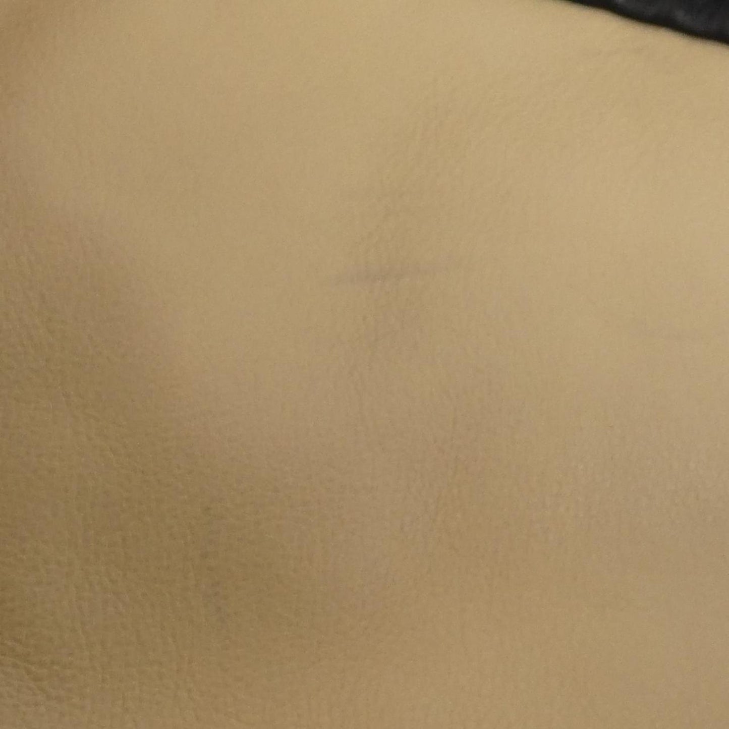 Louis Vuitton Monogram Elvinyl Squeeze Shoulder Bag M95259