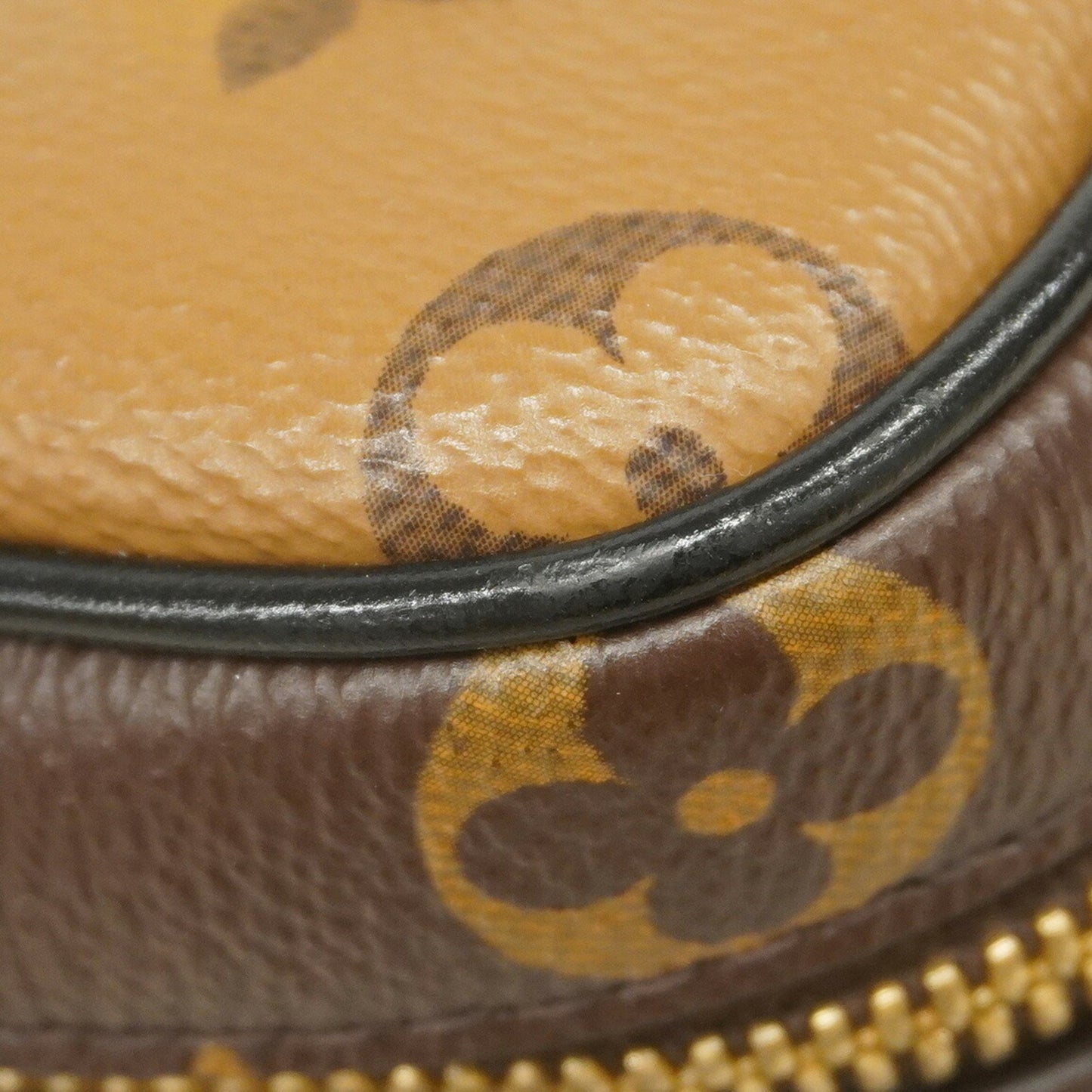 Louis Vuitton Monogram Reverse Vanity Bag