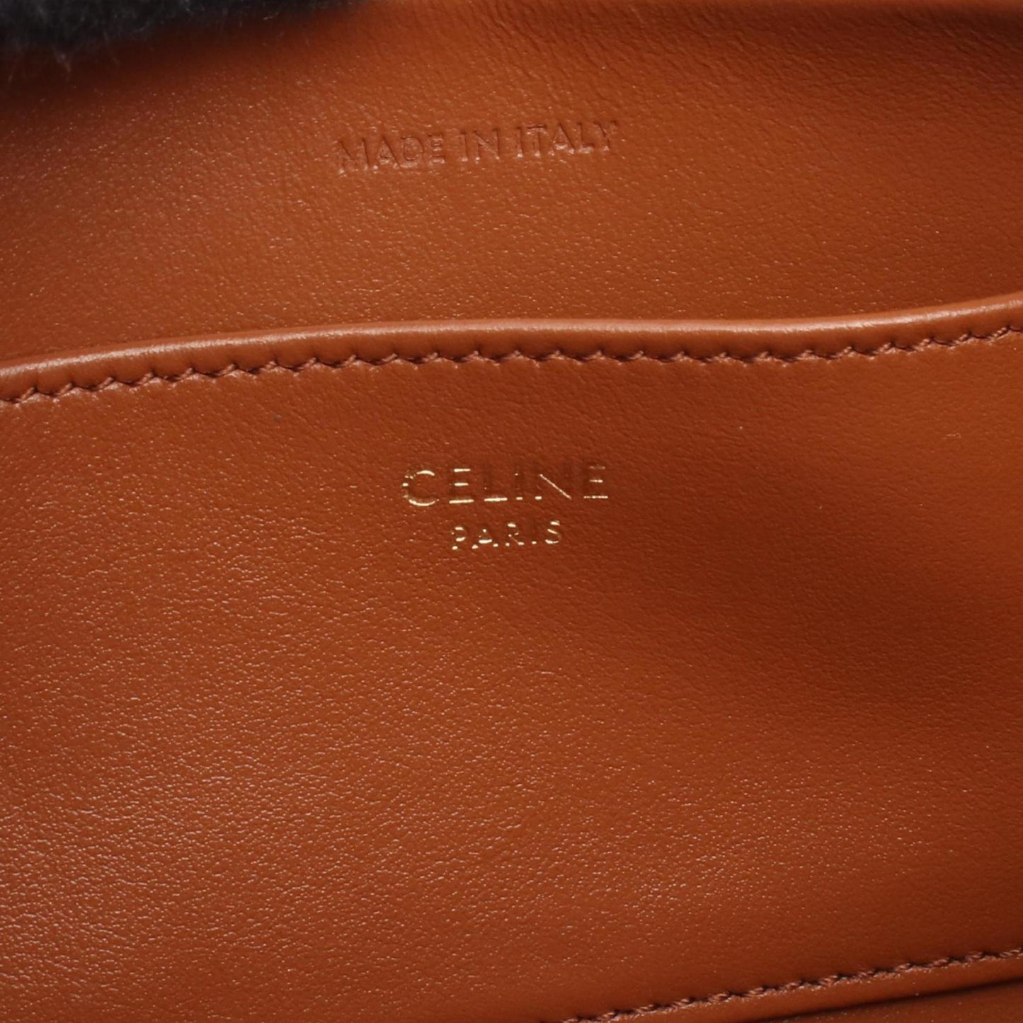 Celine Cuir Triomphe Mini Camera Bag