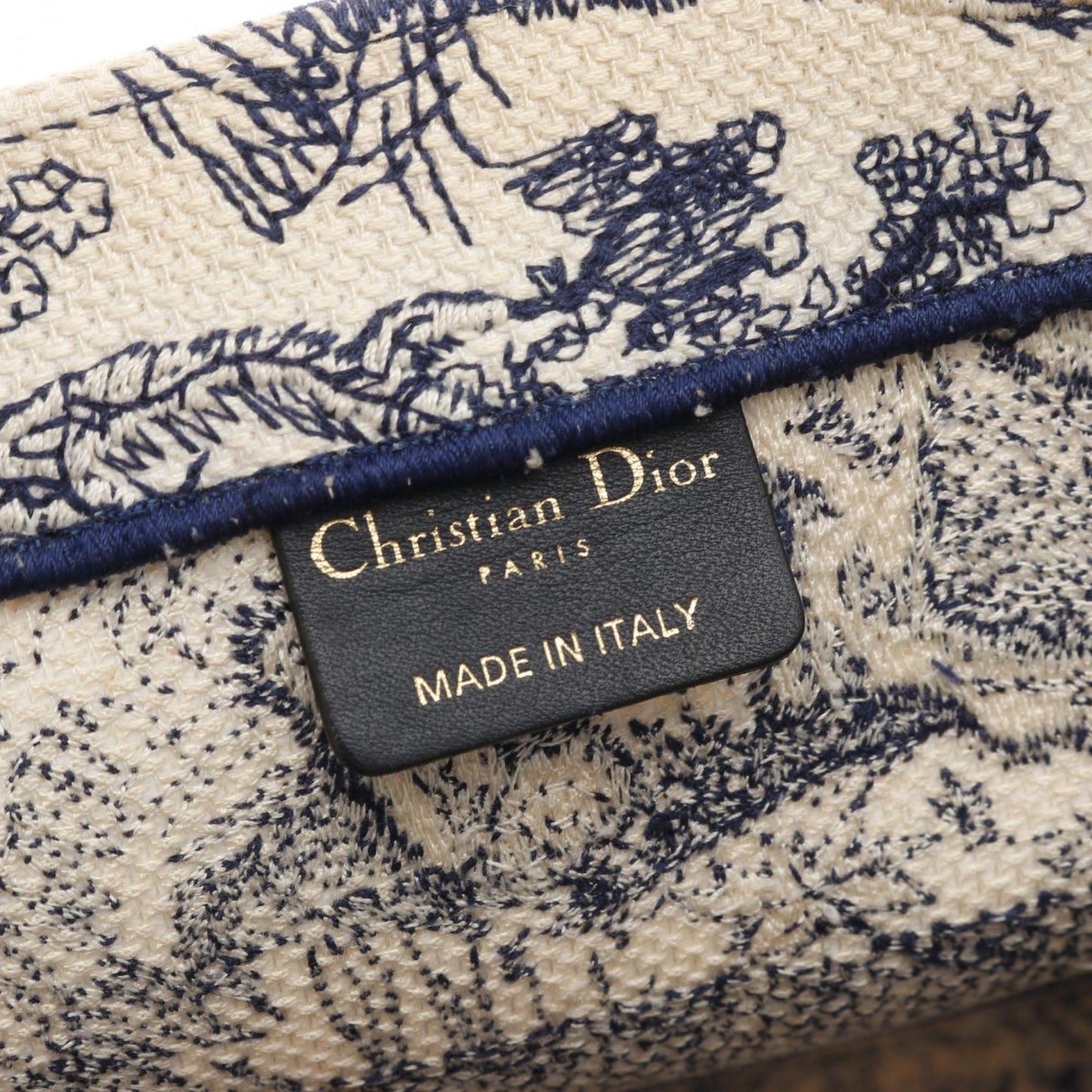 Christian Dior Book Tote Medium Tote Bag