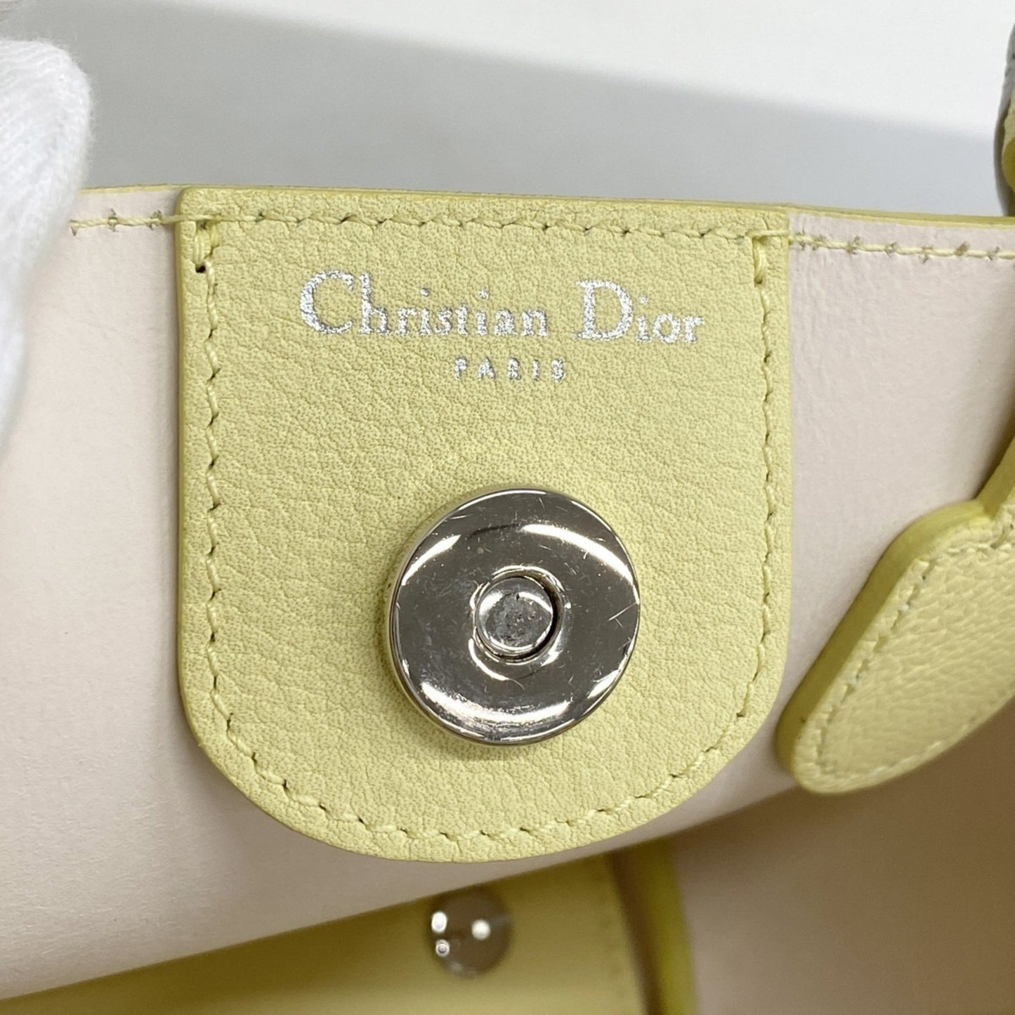 Christian Dior Blossom Leather Handbag