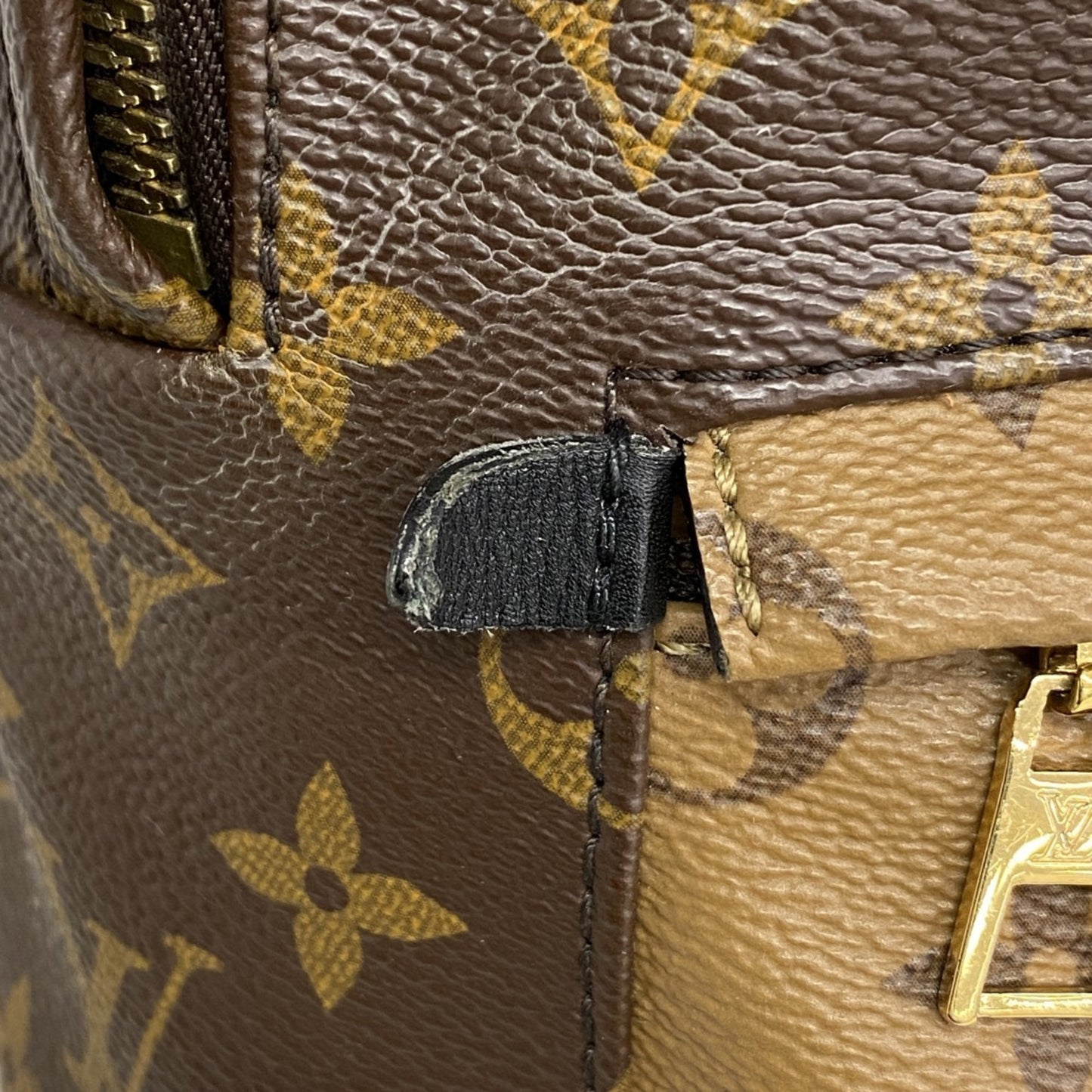 Louis Vuitton Monogram Reverse Palm Springs Pm Backpack M44870 Brown