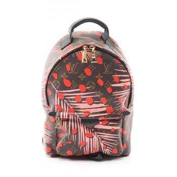 Louis Vuitton Palm Springs Pm Backpack