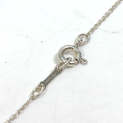Tiffany&Co. Tiffany V Initial Paloma Picasso Accessory Pendant Necklace Sv925