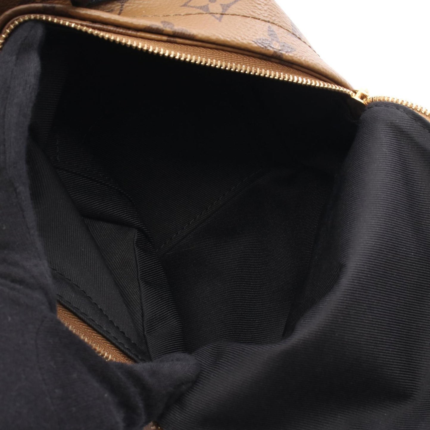 Louis Vuitton Palm Springs Mini Backpack