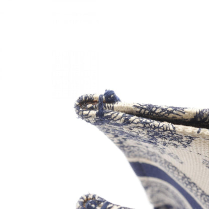 Christian Dior Book Tote Medium Tote Bag